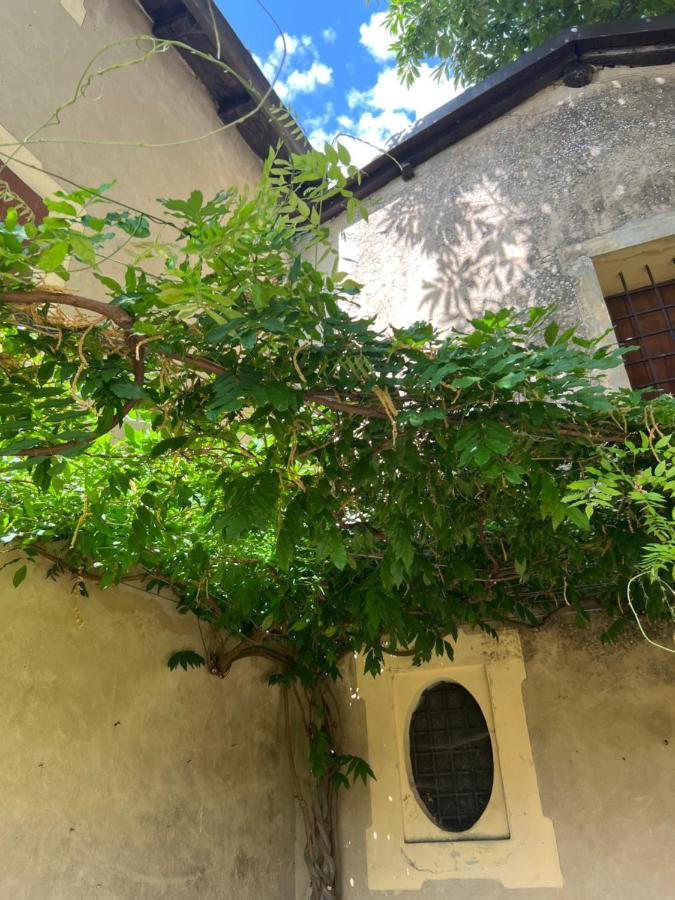 Casa Barattini Bed and Breakfast Zocchetta Exteriör bild